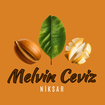 Melvin Ceviz